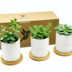 I Love You Succulent Cactus Ceramic Planter Pot w/ Bamboo Tray & Drainage Holes